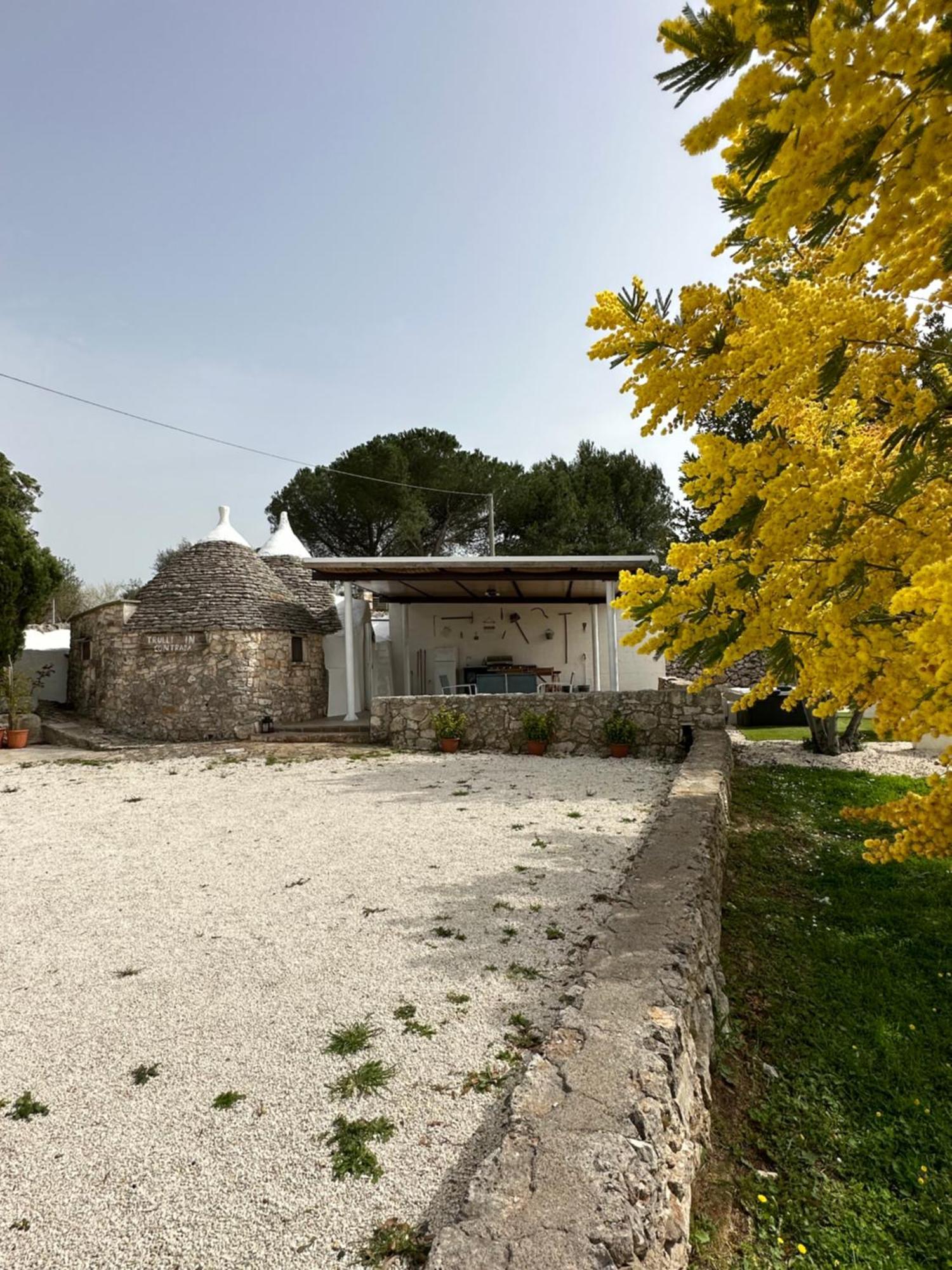 فيلا Trulli In Contrada نوتشي المظهر الخارجي الصورة