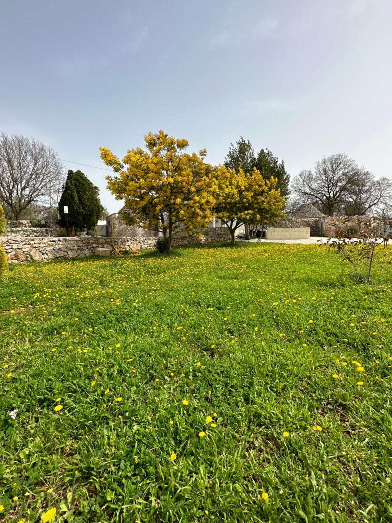 فيلا Trulli In Contrada نوتشي المظهر الخارجي الصورة